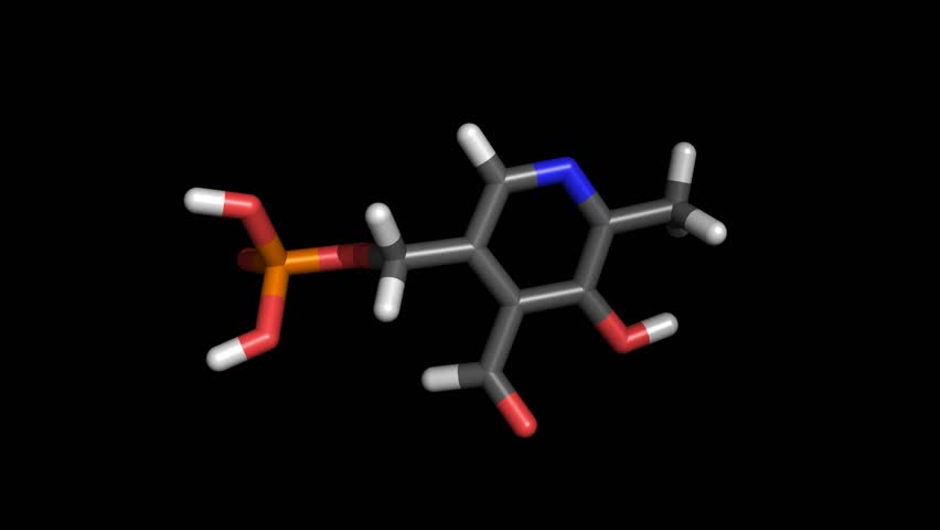 Stick representation of a vitamin b6 molecule, also called PLP