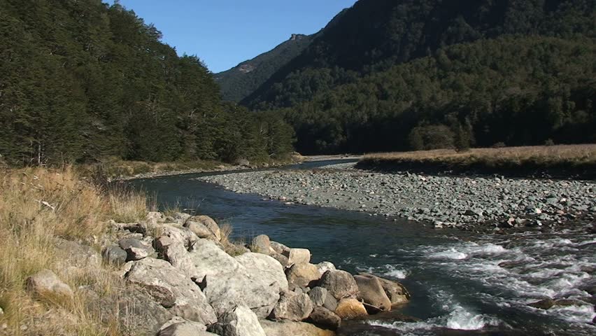New Zealand Countryside with Flowing River