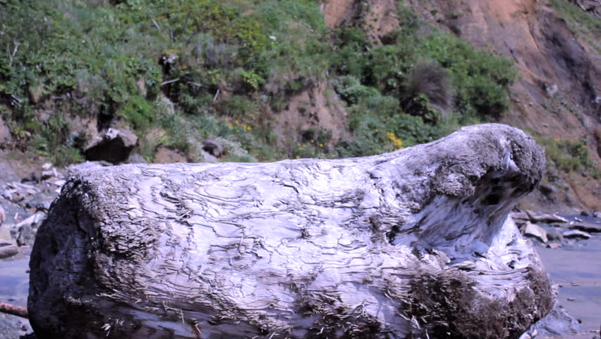 A business man jumping over a log with style