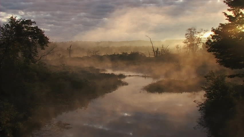 Pond with fog and sun in the early morning hours.