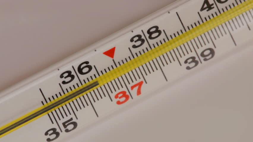 Glass mercurial thermometer takes temperature