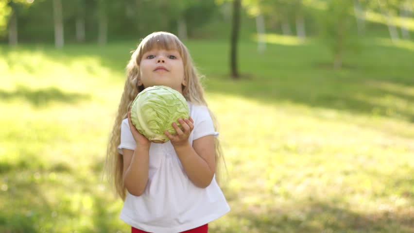 Child holding a cabbage vegetables
