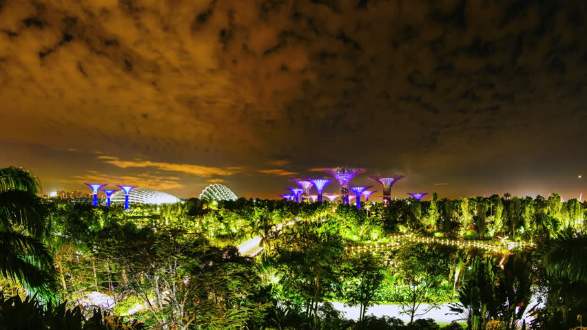 Header of Supertree