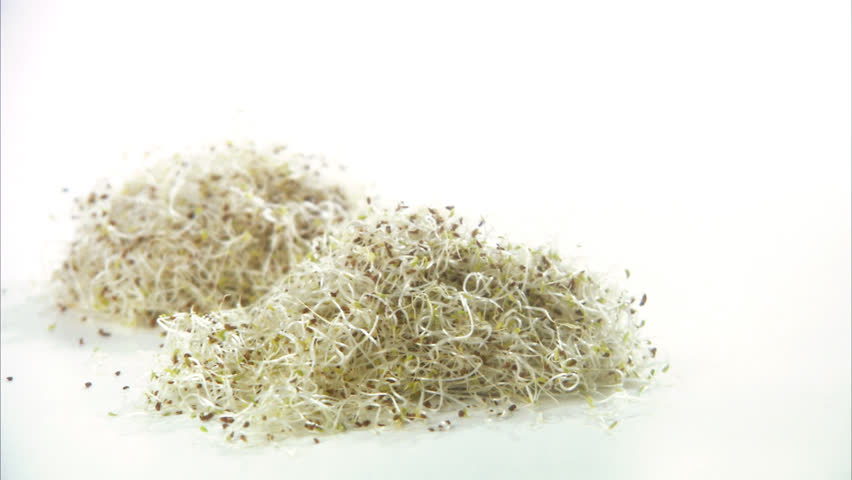 pile of bean sprouts