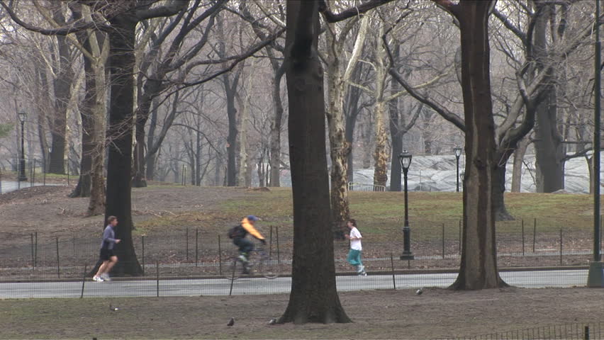 New York, NY - CIRCA March 2006: Joggers, cyclists, pedicabs, and horse carriages all share the road in Central Park on a gray day in Manhattan