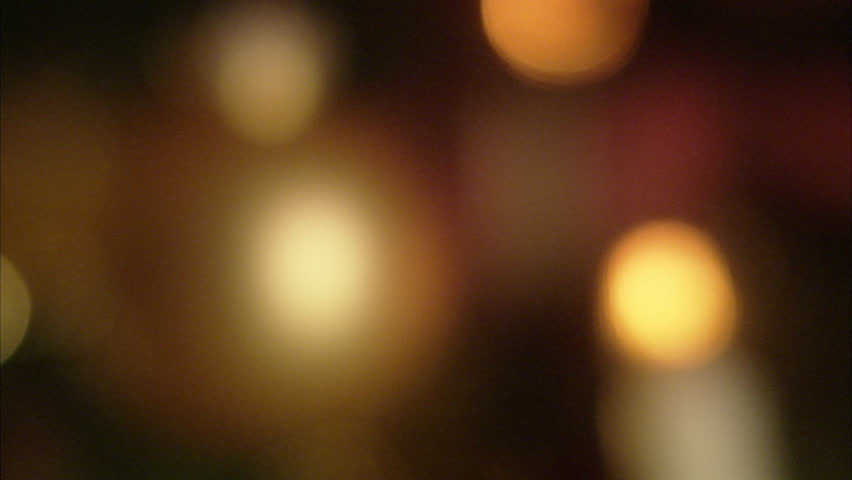 A Christmas tree, close-up.