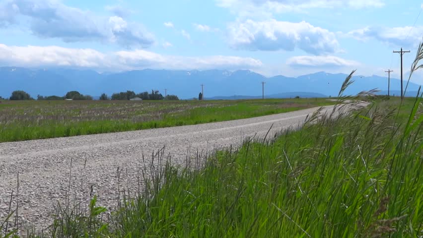 Lonely dirt road with breezy grass in the foreground