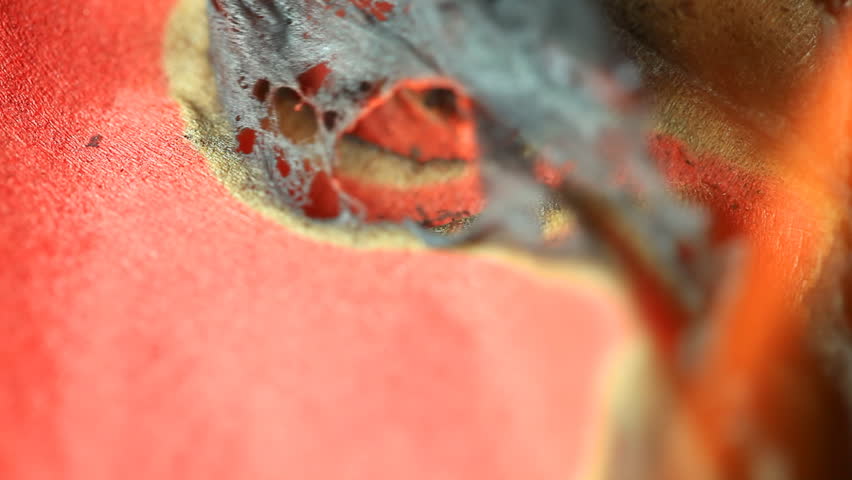 Burning paper. Macro.