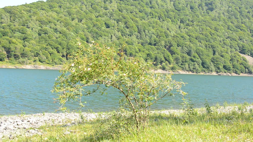 water reservoir in Italy