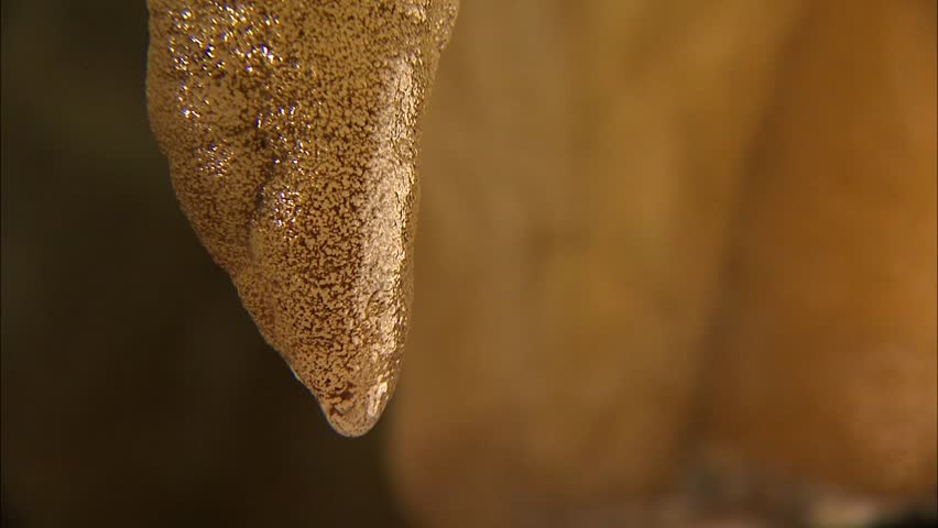 Dripping water from pointy cave stalactite
