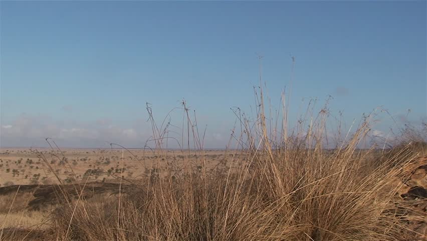 African Savannah in the Kenyan National Park "Tsavo East"