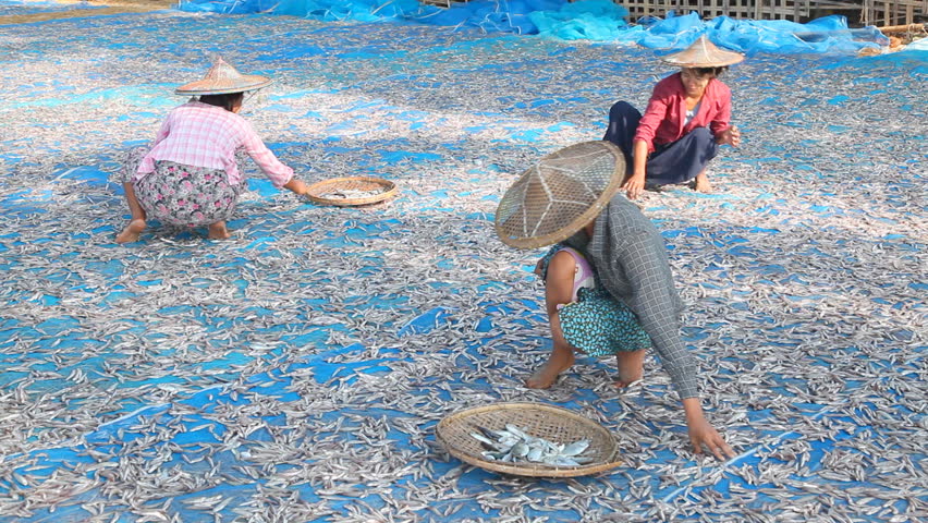 NGAPALI , MYANMAR - APRIL 25: Local people activiti at beach in fishing village on April 25, 2012 near Ngapali beach. Ngapali beach is one of the most popular place to visit in Myanmar.