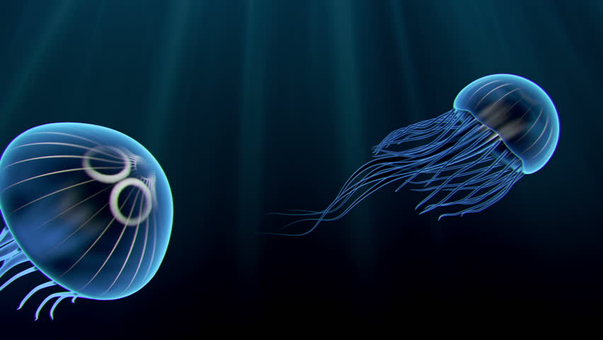 Two animated blue jellyfish swimming gracefully though the water.
