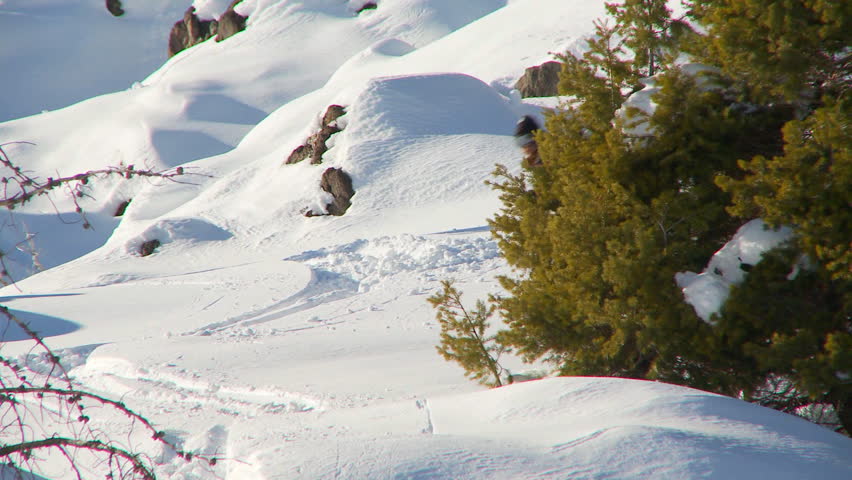 Male snowboarder riding back-country terrain