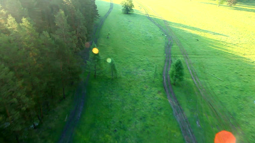 flight above forest