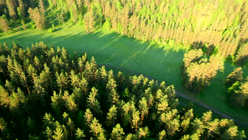 flight above forest