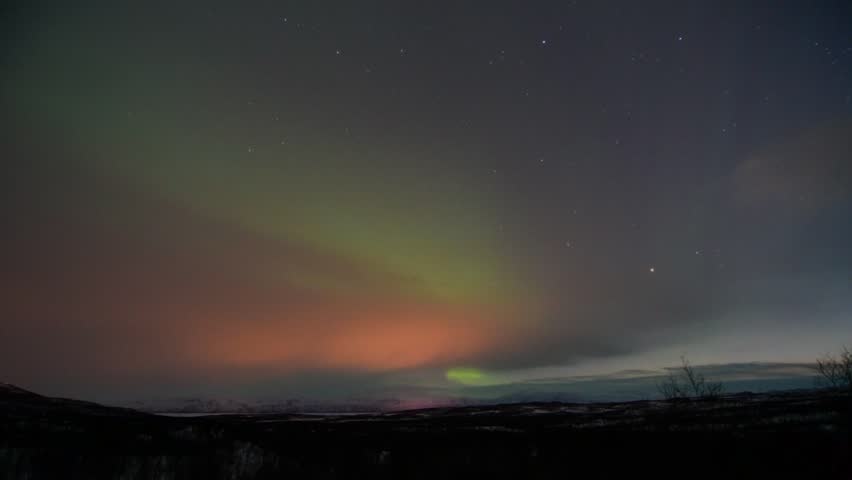 Aurora borealis in a scandinavian forest