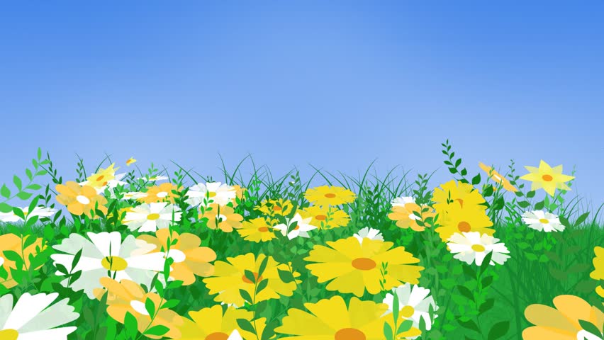 animation flourish field