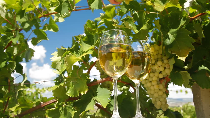 White Grape and Wine Glasses