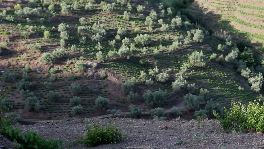 Man riding a horse in Andalusia, Spain