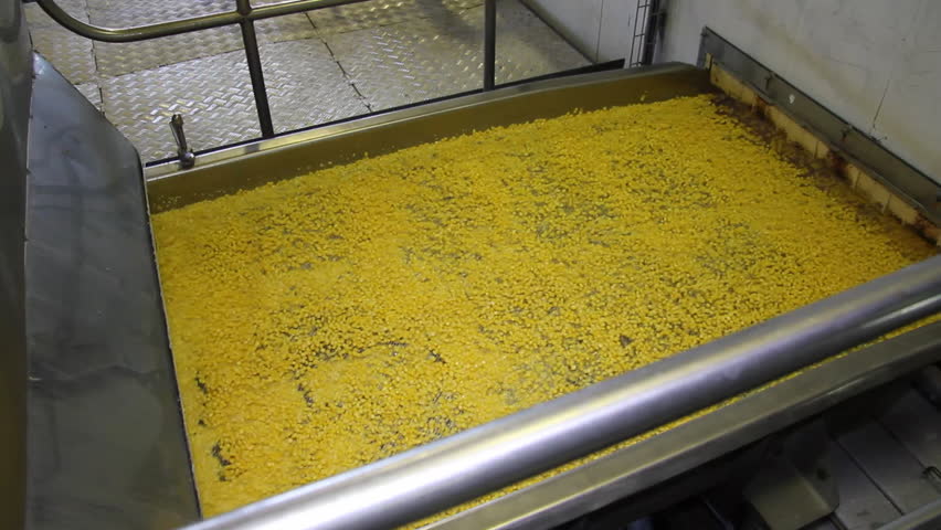 Corn processing factory