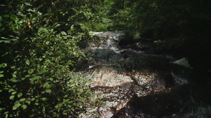Panning from the waters rushing over the edge of Amicalola Falls to a vast view of the surrounding countryside.