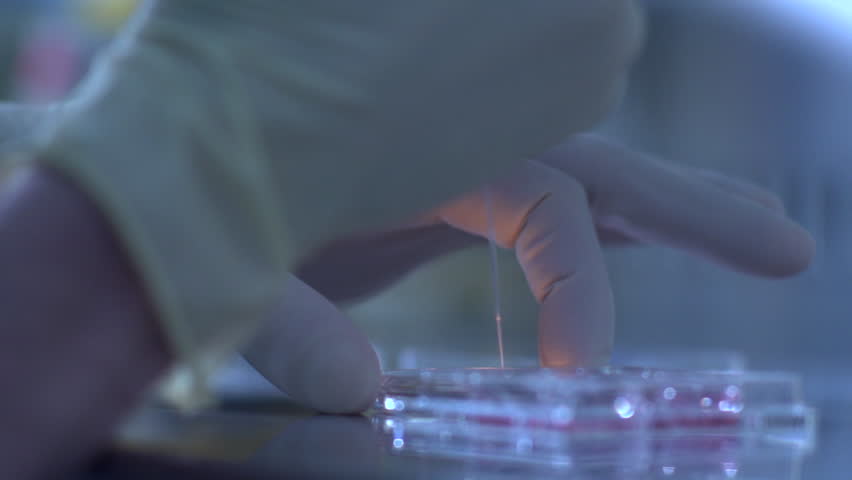 reproductive medicine