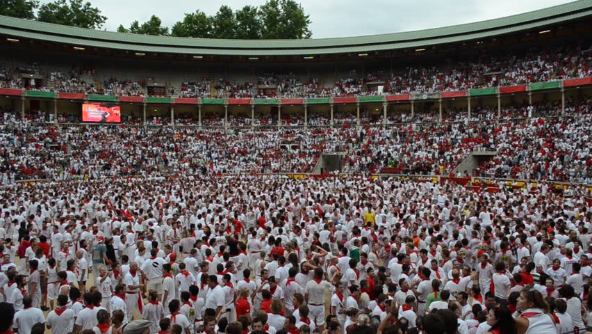 PAMPLONA - SPAIN - CIRCA JULY 2012: Revelers try to escape a wild cow in the bull ring at the end of the Running of the Bulls during San Fermin Festival in Pamplona, Spain circa July 2012.
