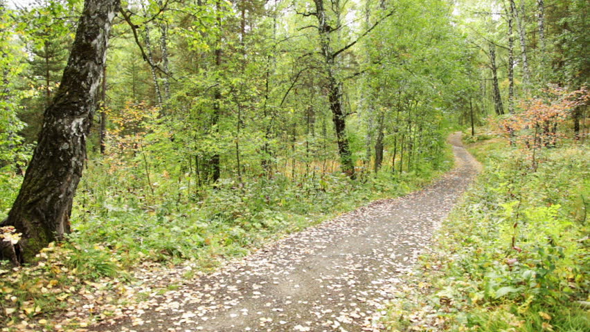 Running in the park