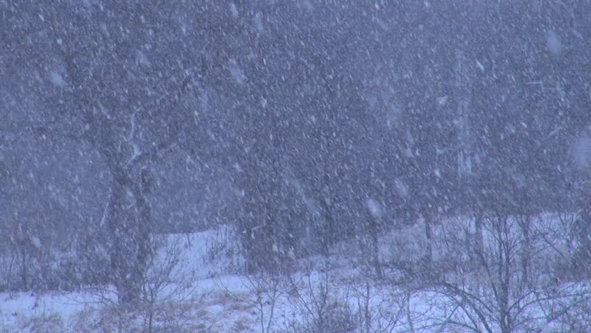 Real Looking Falling Snow With Transparent Background Stock Footage