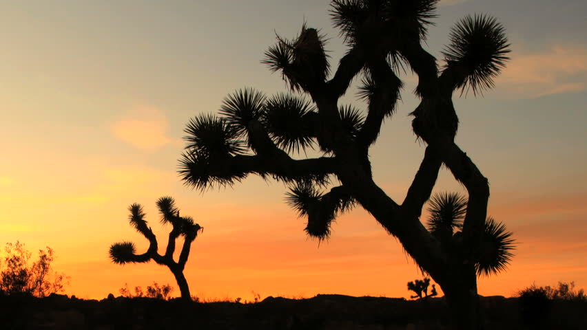 Time lapse of Joshua Tree Sunset Sunrise