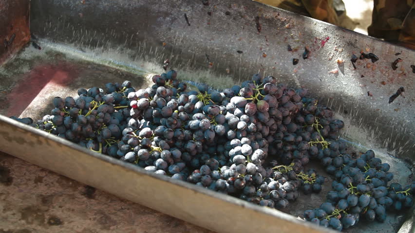 Homemade Winemaking