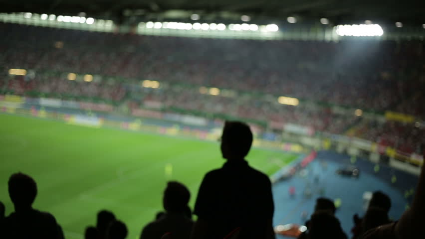 Soccer fans in stadium
