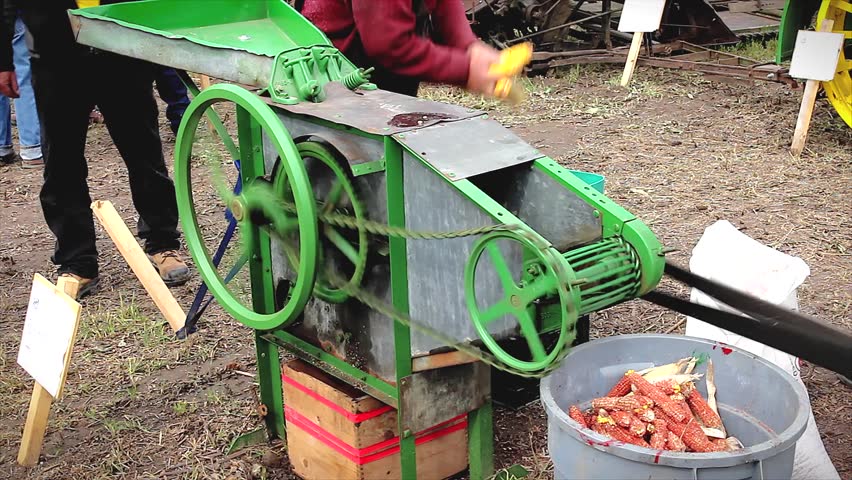 An old-fashioned tractor driven machine removes corn kernels from the cob in Ontario, Canada.