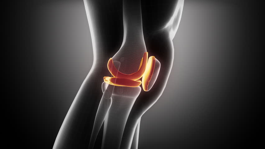 Knee anatomy in loop x-ray