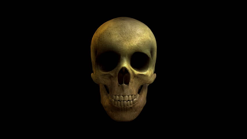 Laughing 3D Skull Loop 