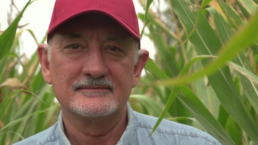 Farmer, close up of face in corn field