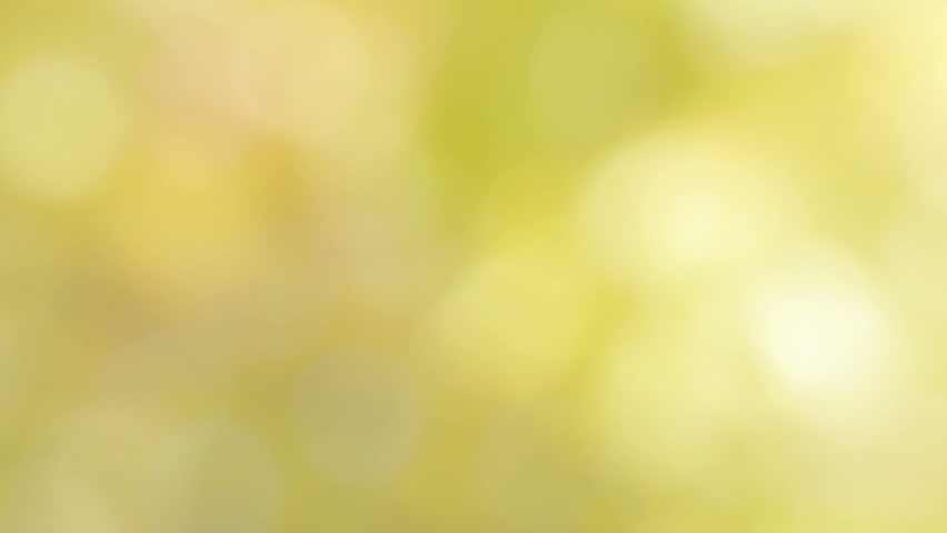 realistic yellow natural bokeh light