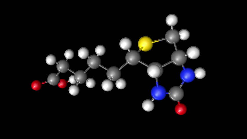 A molecular ball and stick model of vitamin B7