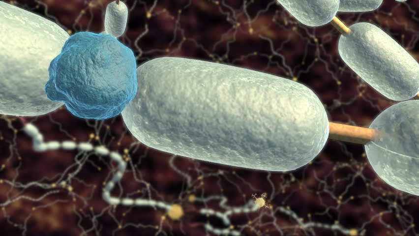 3D animation shows immune cell attack on myelin sheath synthesised by Schwann cell or oligodendrocyte along axon of neuron leading to scarring inflammation disrupted signalling through CNS 