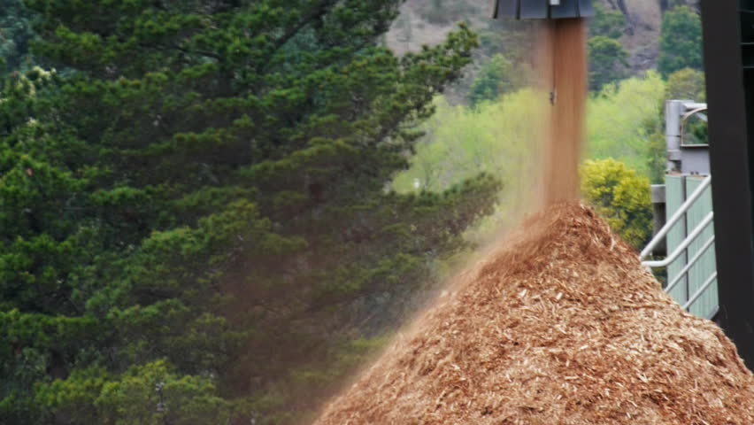 wood chip stockpile