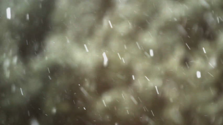 Snowfall Background - Variety!