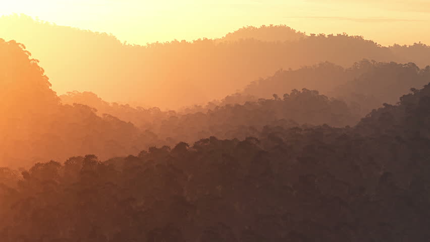 Jungle Sunset / Sunrise aerial 3D render