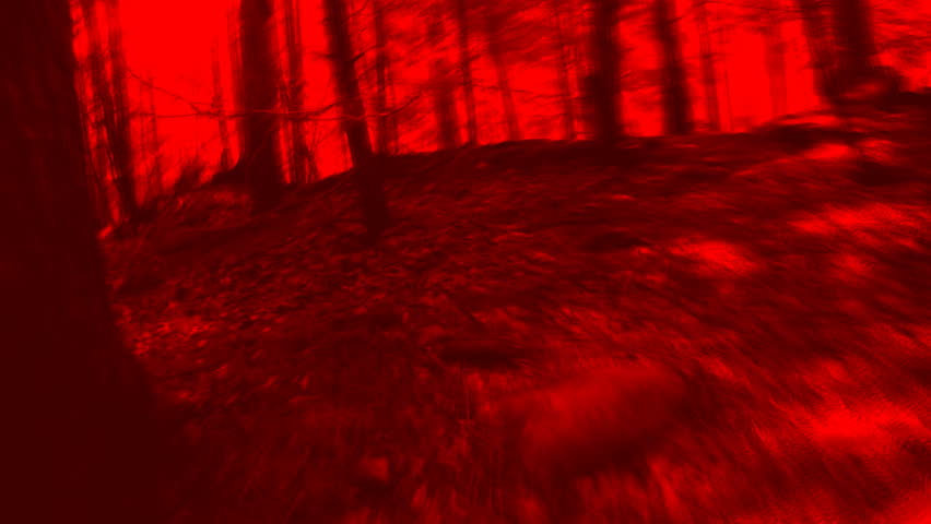 HUNTED. Forest chase scene. Timelapse POV shot with blood red filter.