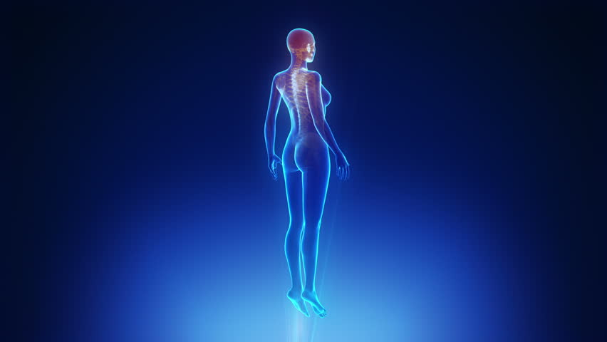 Female body scan in loop
