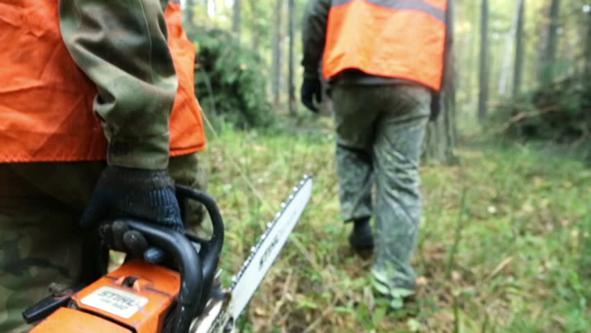 Two men going in the forest with a chainsaw