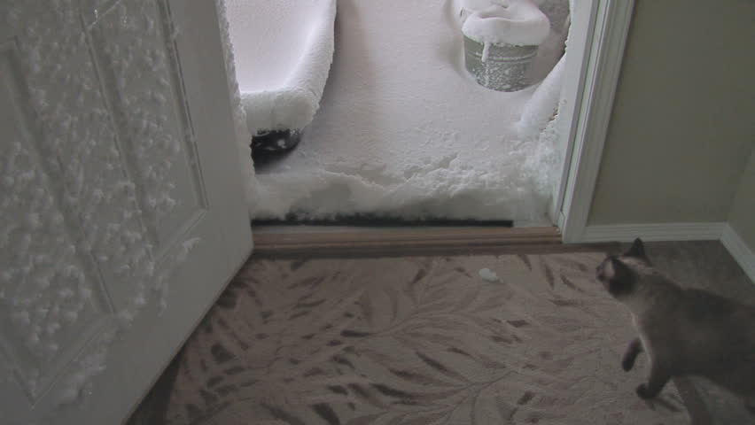 Open the door to a mess on the deck after a long night of howling winds and blowing snow. Tilt up.