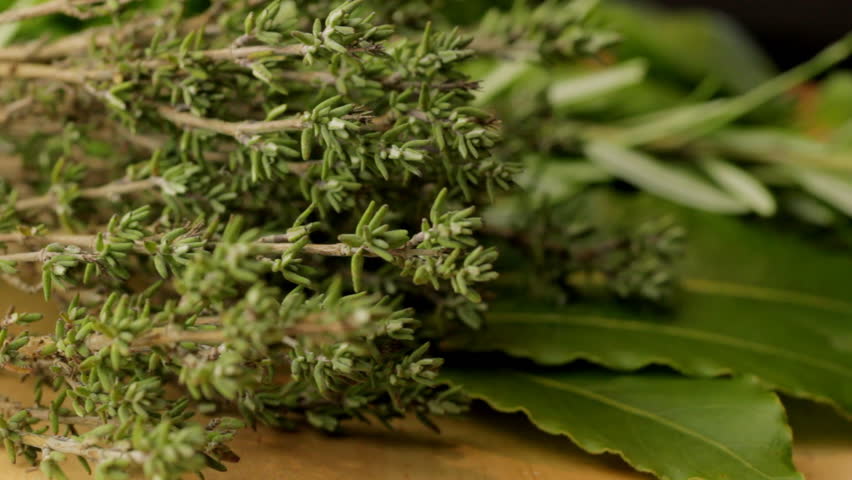 Collection of freshly picked herbs