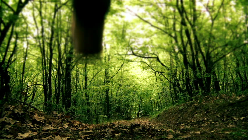 Man running away in the woods
