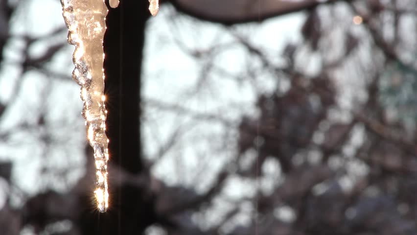 dripping icicle